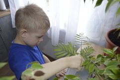 Тихонов Руслан группа "Светлячки"